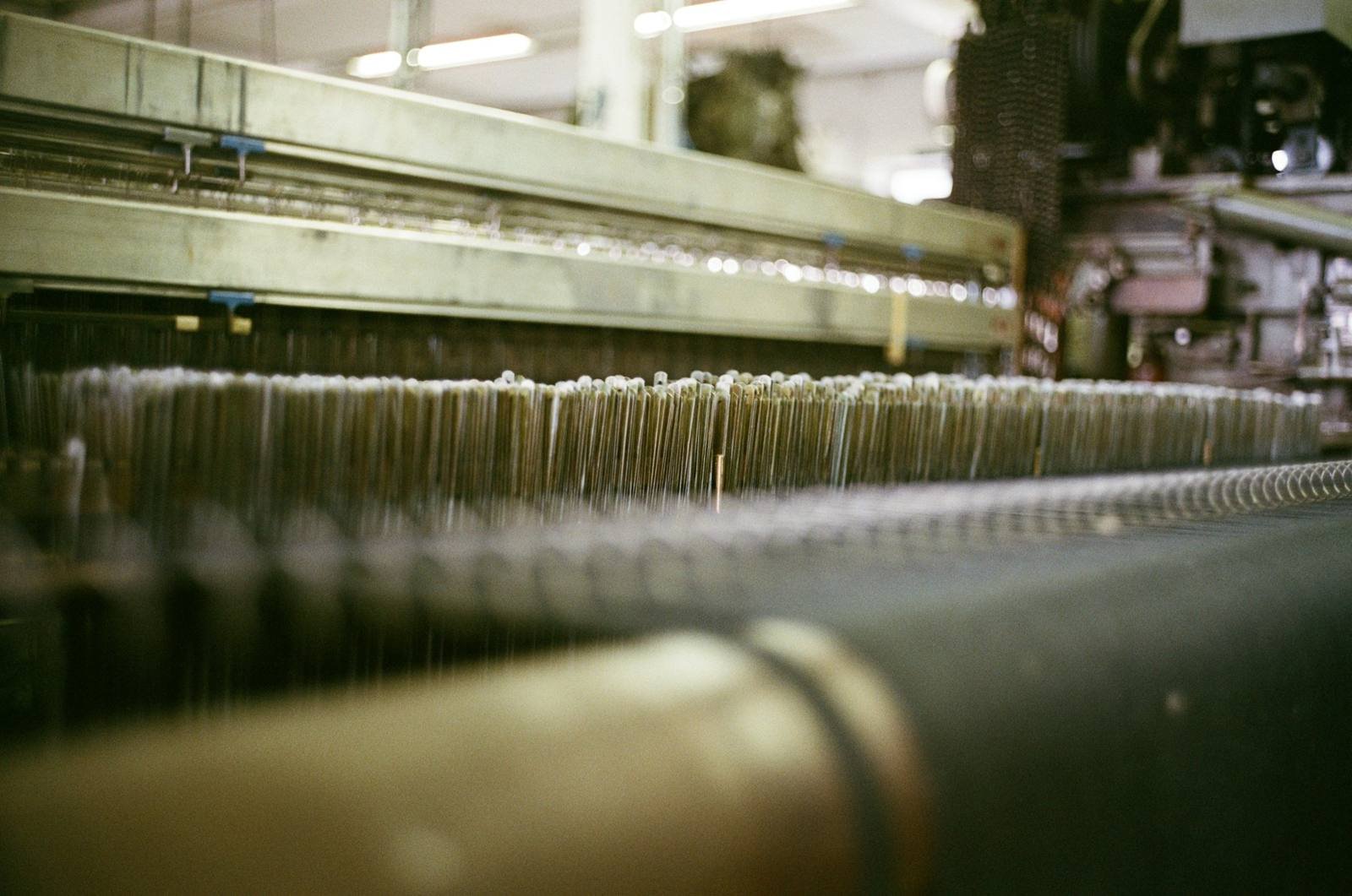 Warp threads running through an industrial loom
