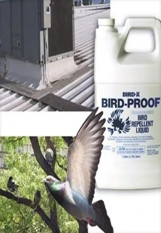 Bird-proof taste aversion repellent container